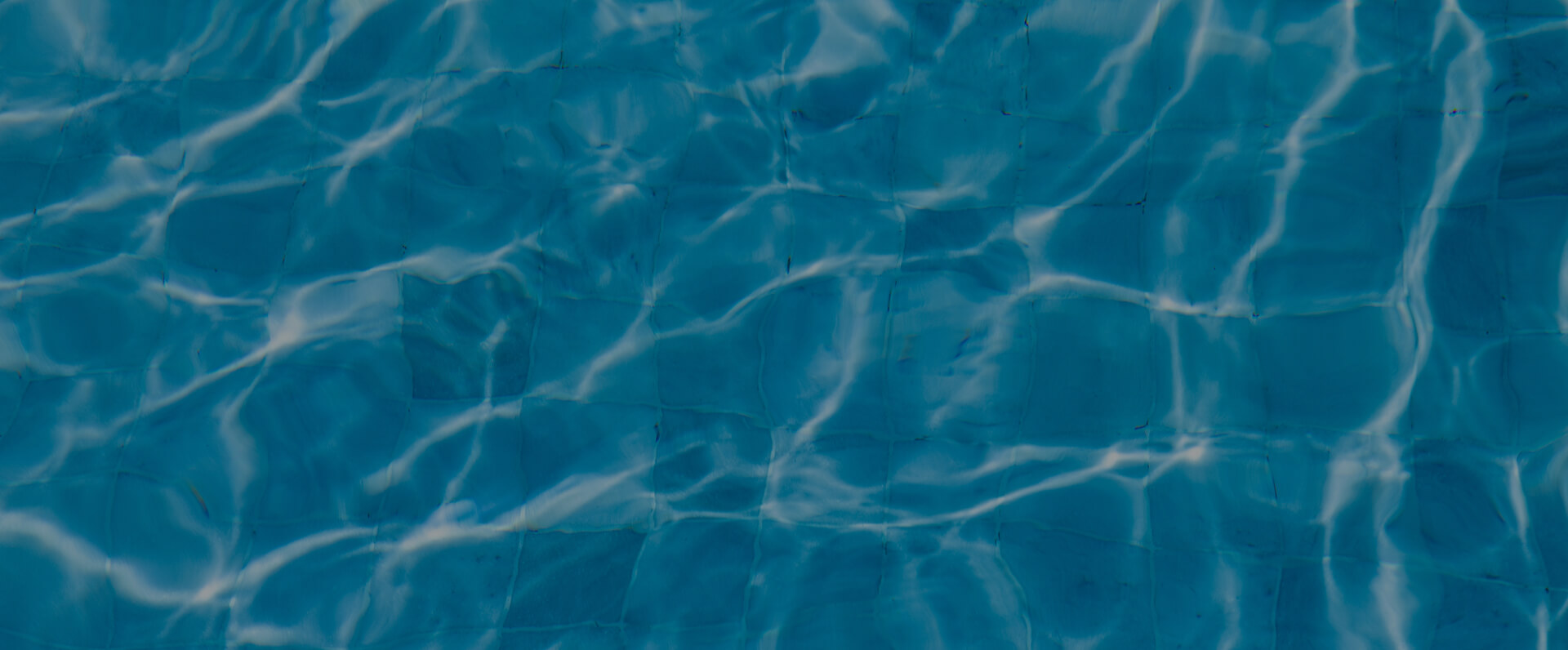 trustworthy pool building company near me